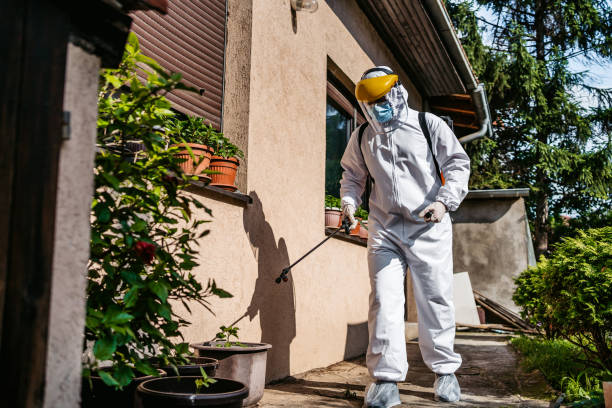 Wasp Removal Services in Mattydale, NY