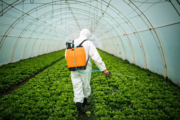 Best Ant Control Services  in Mattydale, NY