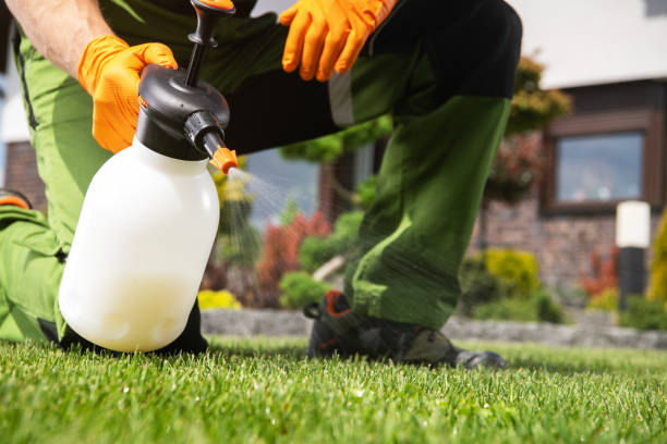 Insect Control in Mattydale, NY