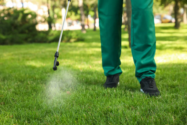 Best Flea Control Services  in Mattydale, NY
