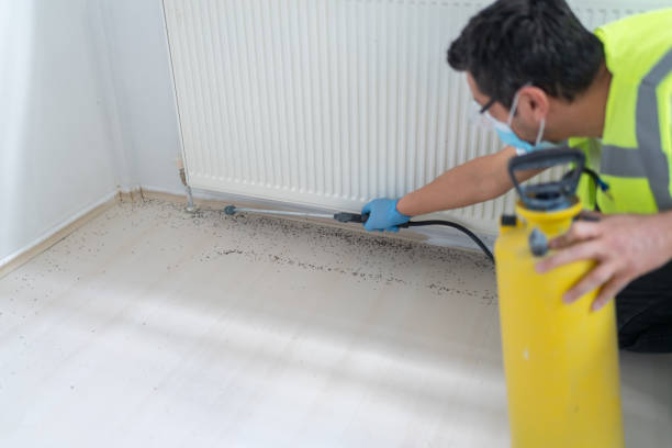 Best Pest Prevention Services  in Mattydale, NY