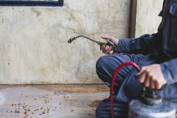 Best Exterminator Services  in Mattydale, NY